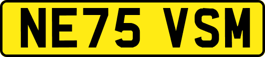 NE75VSM