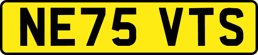 NE75VTS