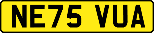 NE75VUA