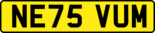 NE75VUM