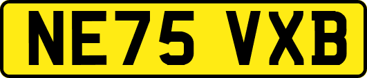 NE75VXB