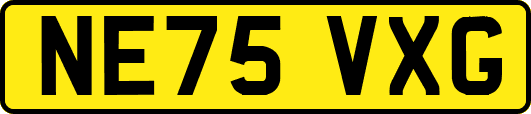NE75VXG
