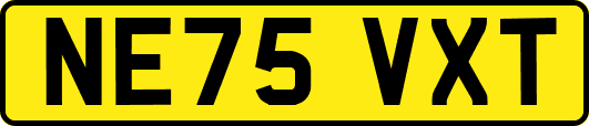 NE75VXT
