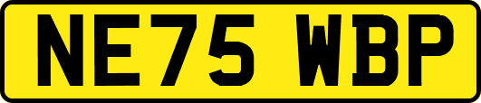 NE75WBP