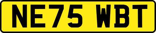 NE75WBT