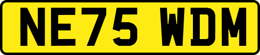 NE75WDM