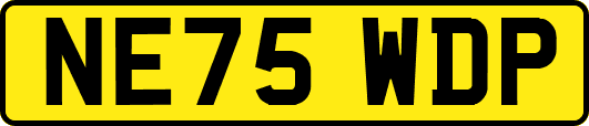 NE75WDP