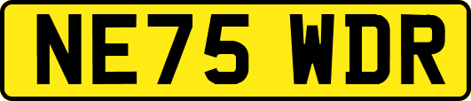 NE75WDR