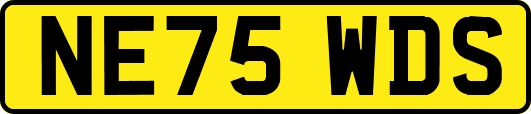 NE75WDS