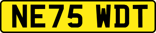 NE75WDT