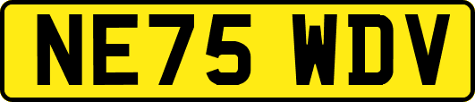 NE75WDV