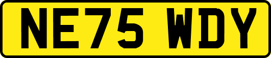 NE75WDY
