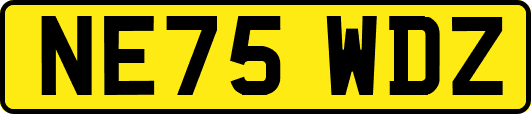 NE75WDZ