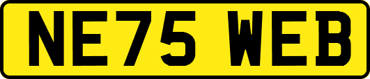 NE75WEB