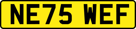 NE75WEF