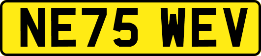 NE75WEV