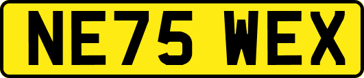 NE75WEX