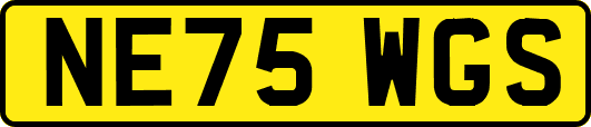 NE75WGS