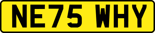 NE75WHY
