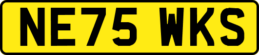 NE75WKS