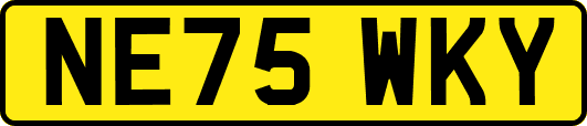 NE75WKY