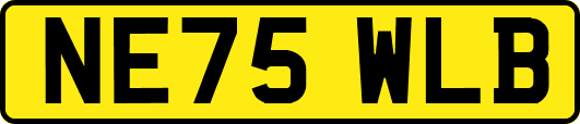 NE75WLB