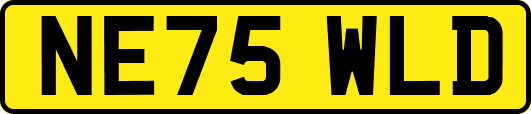 NE75WLD