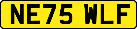 NE75WLF
