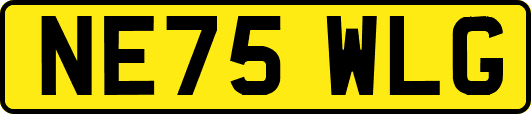 NE75WLG