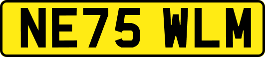 NE75WLM