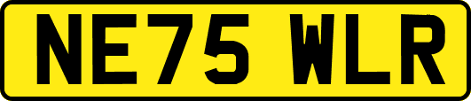 NE75WLR