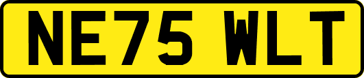 NE75WLT