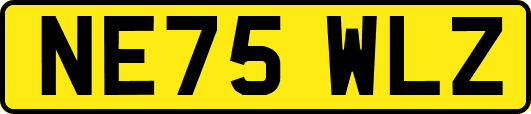 NE75WLZ