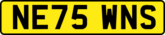 NE75WNS