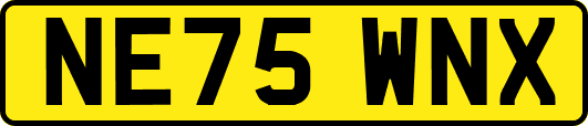 NE75WNX