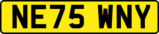 NE75WNY
