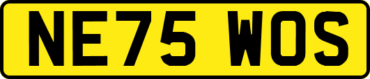 NE75WOS