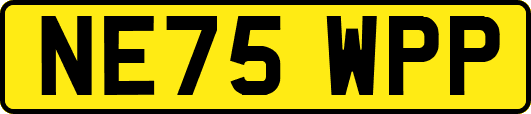 NE75WPP