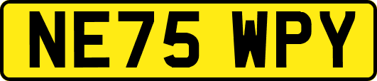 NE75WPY