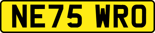 NE75WRO