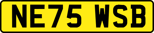 NE75WSB