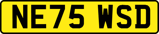 NE75WSD