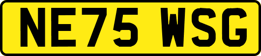 NE75WSG