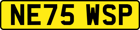 NE75WSP