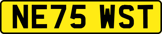 NE75WST