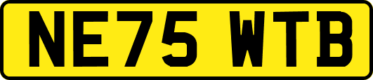 NE75WTB