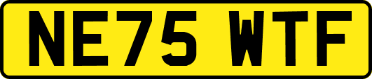 NE75WTF