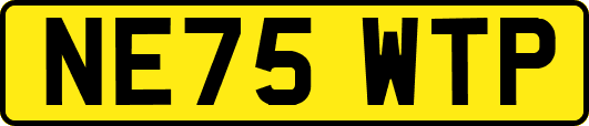 NE75WTP
