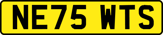 NE75WTS