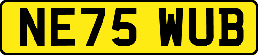 NE75WUB